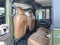 2022 Jeep Gladiator Overland 4x4